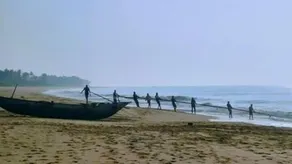 Blue Ocean Resort - Image 2