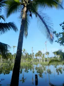 Havelia Island Resort - Image 3