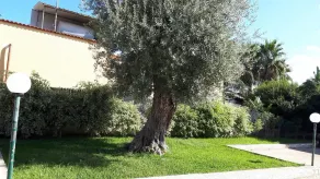 Villa Dany - Image 5