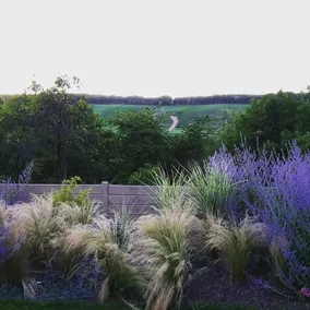 Gite Millesime Et Une Nuit - Image 3