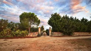 Masseria Le Pezzate - Image 2