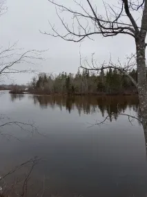 Striper Fishing & Hunting Lodge - Image 3