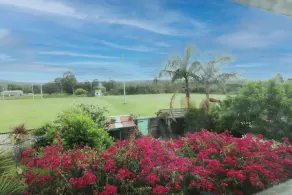 Alloway - Image 4