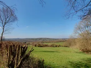 Detached Holiday Home in Beautiful Forest Location in Brightling - Image 4