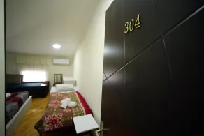 Meridian - Image 4