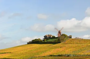 Chateau De Courmelois - Image 4