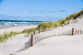 Chic Coastal W/ Large Backyard, Near Beach 3 Bedroom Home - Image 5