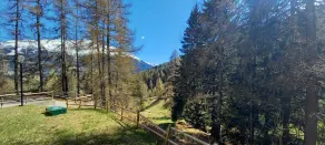 Stelviostay Bilo 6 - Image 3