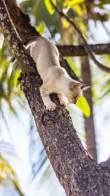 Gato Do Mato Hostel - Image 2