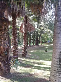 Hale Kukui Orchard & Resort - Image 4