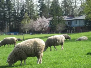 Yorkshire Farm Hotel - Image 2