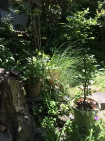 Guest House Yamato - Image 3