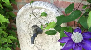 Villa Vestbo - Image 3