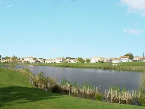 Charming holiday home with dishwasher located at golf course - Image 3