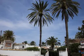 Villa La Lubina - Image 5