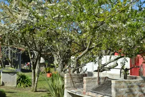 La Posada del Tordillo - Image 5