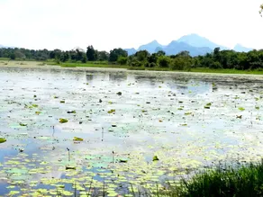Chanaka Homestay - Image 4