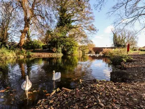 Gardener's Cottage - Image 4