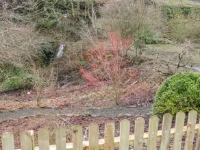 Brook Cottage - Image 5