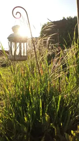 La Pause Val De Loire - Image 2