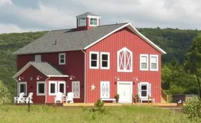 Mountain Horse Farm - Image 4