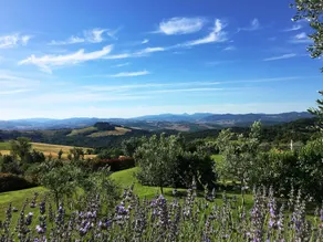 Poggio Del Melograno - Image 3