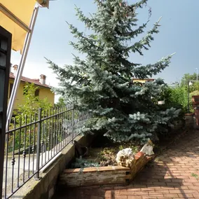 LocAnna House - Image 3