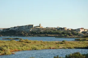 Domaine Mediterranee - Image 4
