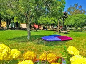 Badem Tatil Koyu - Image 5