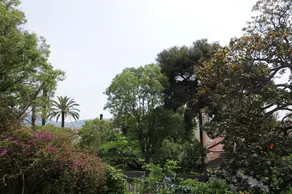 Estienne D'Orves - Image 5