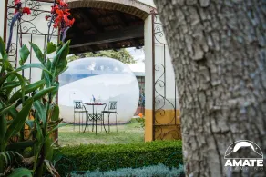 Glamping Amate Hotel Burbuja - Image 2