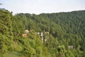 Hotel Dogra Residency - Image 5