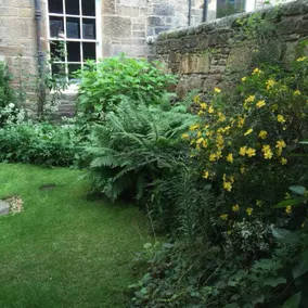 1 Bedroom Apartment Next To The Meadows - Image 4