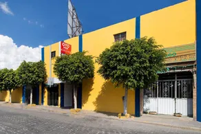 Hotel Casa De Huéspedes Hidalgo - Image 4