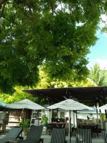 Amaris Boutique Resort - Image 4