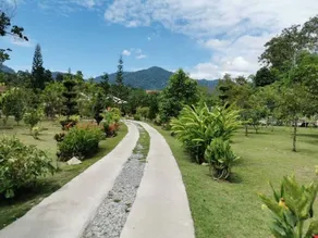 Happy Paradise - Image 4