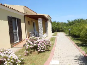 Su Pasu - Image 5