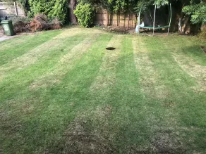 Captivating Bungalow With Garden in High Wycombe - Image 3