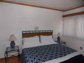 Steinhaus Homero 829 - Image 3