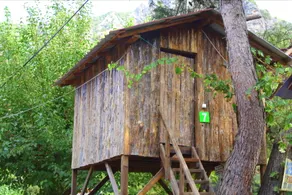 Saban Tree Houses - Image 3