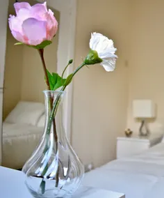 Cosy 2 Bed 1 Bath Flat in Central Dublin - Image 2