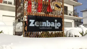 Zembalo - Image 4