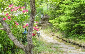 Nice Home in Tyresö With Wifi and 1 Bedrooms - Image 3