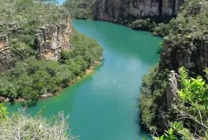 Em Plena Natureza - Image 5