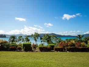 Frangipani 7 - Image 3