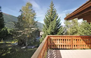 Larix - Image 4