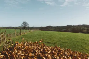 The Barn - Image 3