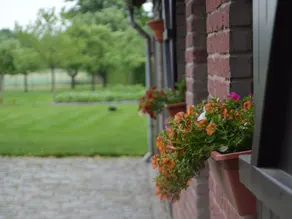 Attractive Mansion in Grote Brogel With Landscaped Garden - Image 2