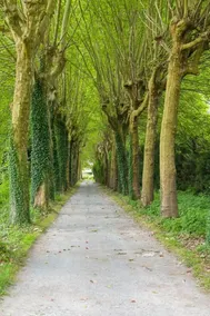Domaine de Bramefaon - Image 2