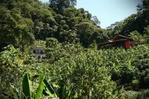 Recanto Primata - Image 5